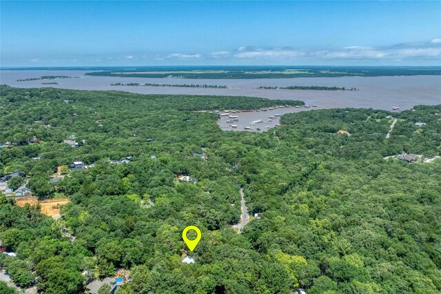 207 Wales Dr, Pottsboro, TX 75076 - bird's eye view of a forest and a large body of water