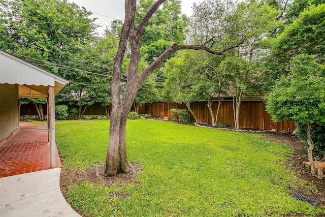 3201 Lamesa Pl, Fort Worth, TX 76109 - view of yard