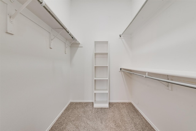 1326 Rosewood Ln, Lancaster, TX 75146 - walk in closet with carpet