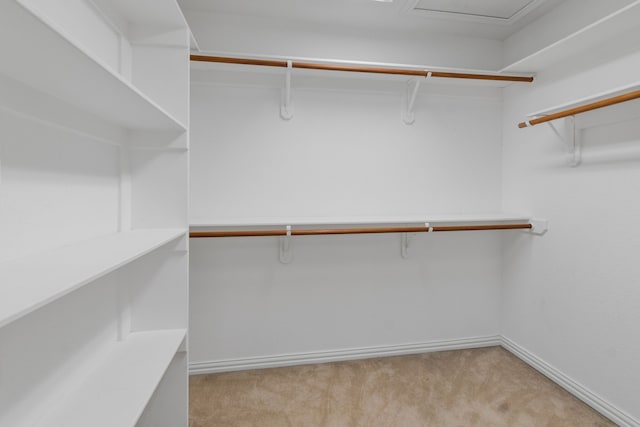 504 Hilltop Pl, Joshua, TX 76058 - spacious closet with light colored carpet and attic access
