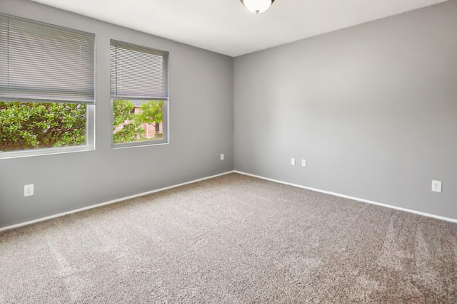 3008 Paint Brush Pl, Lancaster, TX 75134 - carpeted spare room featuring baseboards