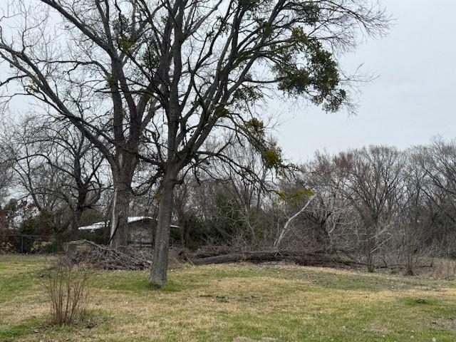 6300 Lumley Rd, Mesquite, TX 75181 - view of green lawn
