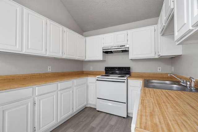 2526 Butterfield Dr, Fort Worth, TX 76133 - kitchen featuring electric stove, a sink, under cabinet range hood, lofted ceiling, and light wood finished floors