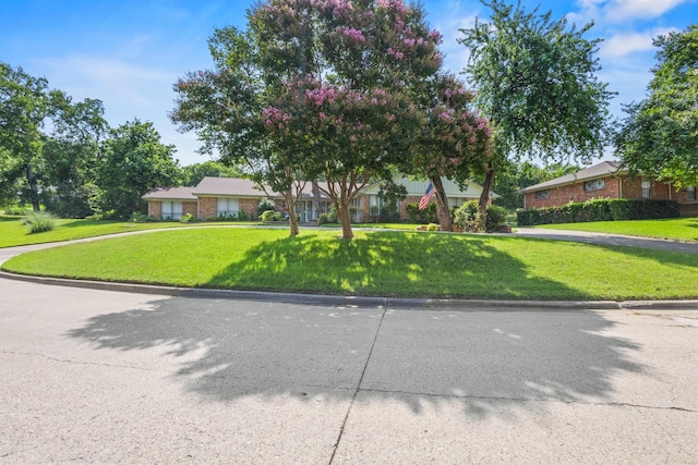 1407 S Alamo Rd, Rockwall, TX 75087 - view of front of house with a front lawn
