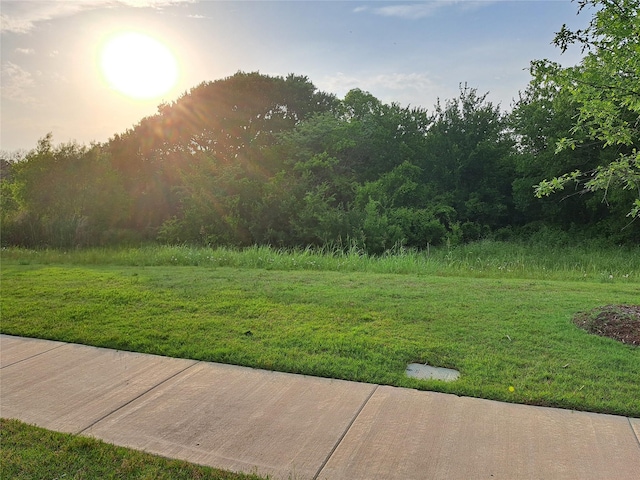 3350 Margay Run, Crandall, TX 75114 - view of yard featuring a wooded view
