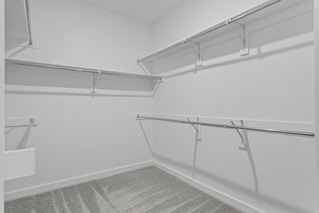 10650 Barrington Ln, Fort Worth, TX 76126 - spacious closet with carpet flooring