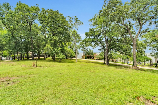 1223 Whispering Springs Dr, Tool, TX 75143 - view of green lawn