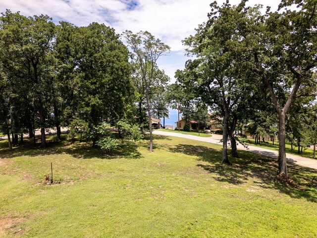 1223 Whispering Springs Dr, Tool, TX 75143 - view of green lawn
