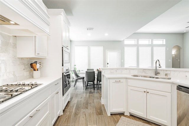 1507 Calcot Ln, Forney, TX 75126 - kitchen featuring a sink, appliances with stainless steel finishes, custom range hood, tasteful backsplash, and white cabinetry