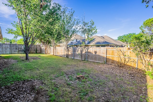 7028 Herman Jared Dr, North Richland Hills, TX 76182 - view of yard