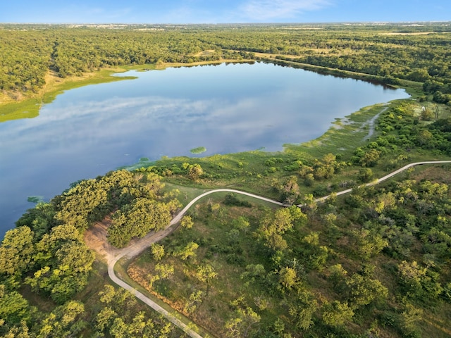 436 Highbluff Trl, Royse City, TX 75189 - aerial view of property and surrounding area with a heavily wooded area and a nearby body of water