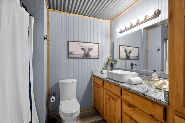108 Boca Vista Ct, Chico, TX 76431 - bathroom featuring vanity, toilet, wood finished floors, and a shower with shower curtain