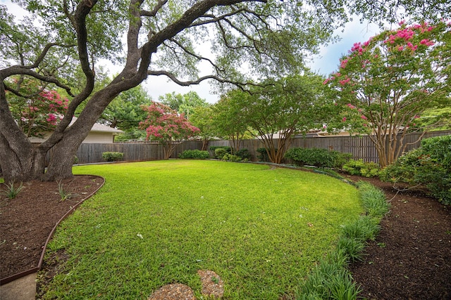 7716 Roundrock Rd, Dallas, TX 75248 - view of fenced backyard