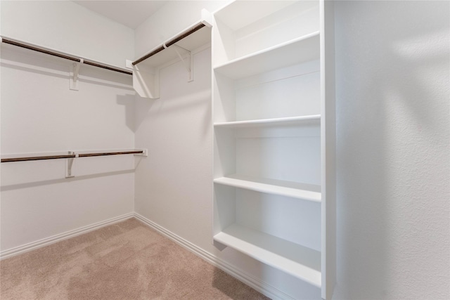 3616 Mallard Way, Mckinney, TX 75071 - spacious closet with carpet floors