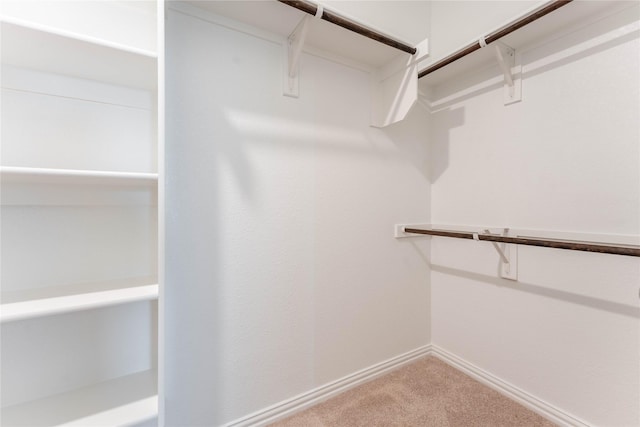 3616 Mallard Way, Mckinney, TX 75071 - walk in closet with carpet flooring