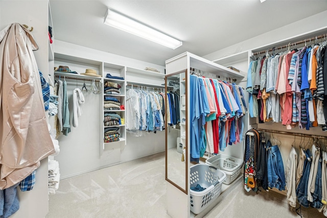 3820 Nash Ln, Plano, TX 75025 - spacious closet with carpet floors