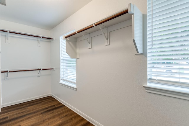 2704 Calmwater Dr, Little Elm, TX 75068 - walk in closet with dark wood-style floors