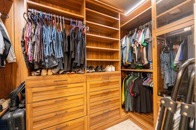 3548 Tuscan Hills Cir, Denton, TX 76210 - view of spacious closet