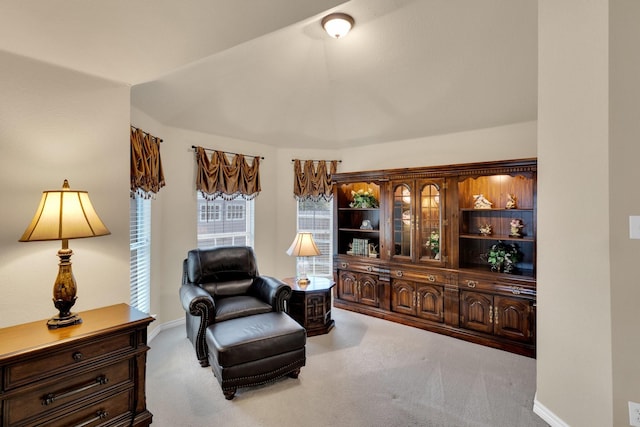 5210 Medallion Ct, Midlothian, TX 76065 - living area featuring carpet, baseboards, and lofted ceiling