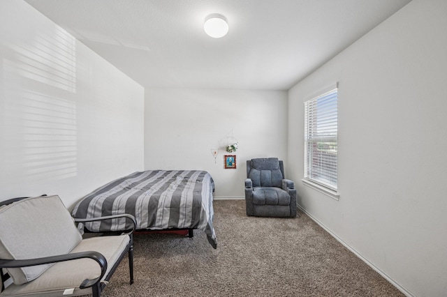 900 Sapphire Dr, Princeton, TX 75407 - carpeted bedroom with baseboards