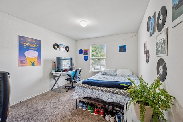 900 Sapphire Dr, Princeton, TX 75407 - bedroom featuring carpet flooring, an office area, and baseboards