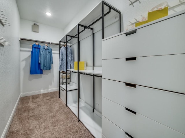 7621 Newtown, The Colony, TX 75056 - walk in closet featuring carpet