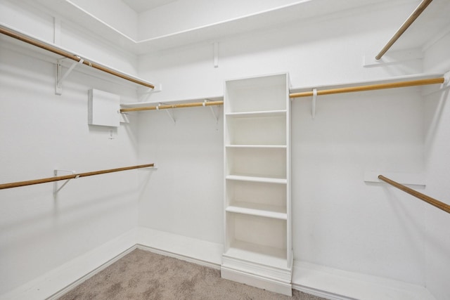 4616 Heatherbrook Ln, Grand Prairie, TX 75052 - spacious closet with carpet