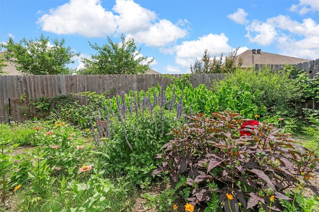 3009 Gilchrist Dr, Lorena, TX 76655 - view of fenced backyard