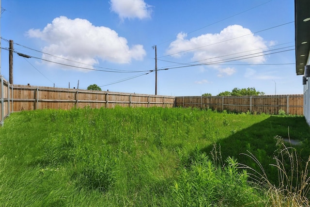 3923 Le May Ave, Dallas, TX 75216 - view of yard