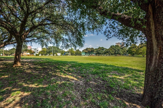 905 Liberty St, Dallas, TX 75204 - view of green lawn