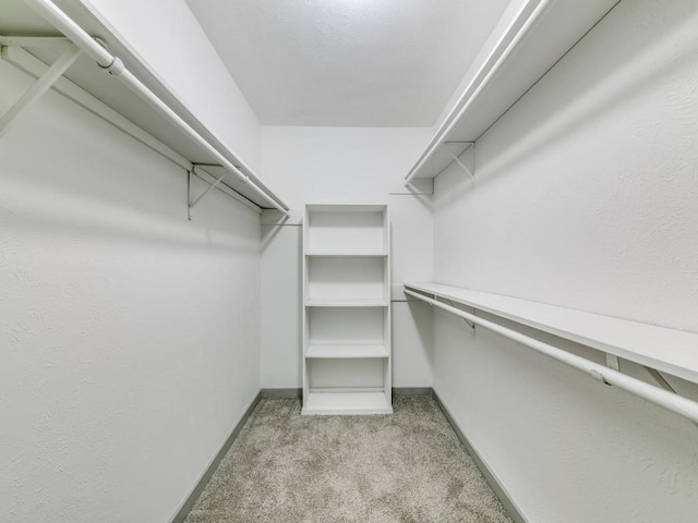 100 Trellis Pl Unit 102, Richardson, TX 75081 - spacious closet featuring light colored carpet