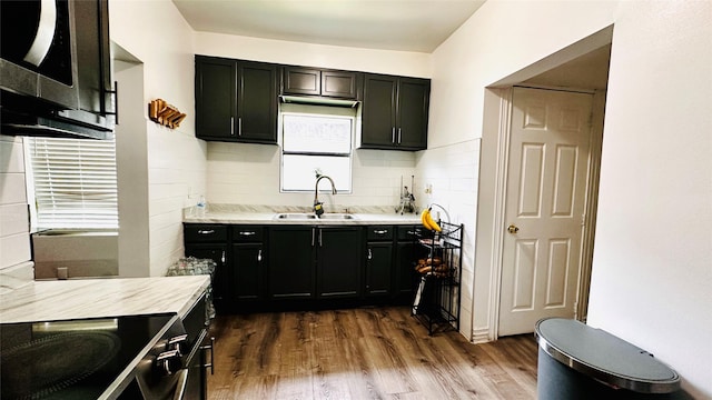 3030 Warren Ave, Dallas, TX 75215 - kitchen featuring a sink, stainless steel microwave, dark cabinets, dark wood-type flooring, and light countertops