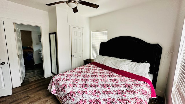 3030 Warren Ave, Dallas, TX 75215 - bedroom featuring dark wood finished floors, multiple windows, and ceiling fan