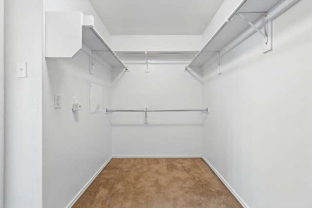 209 Lariat Dr, Fate, TX 75087 - spacious closet with carpet floors