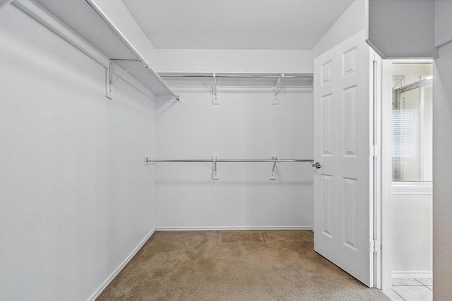 209 Lariat Dr, Fate, TX 75087 - spacious closet with light carpet