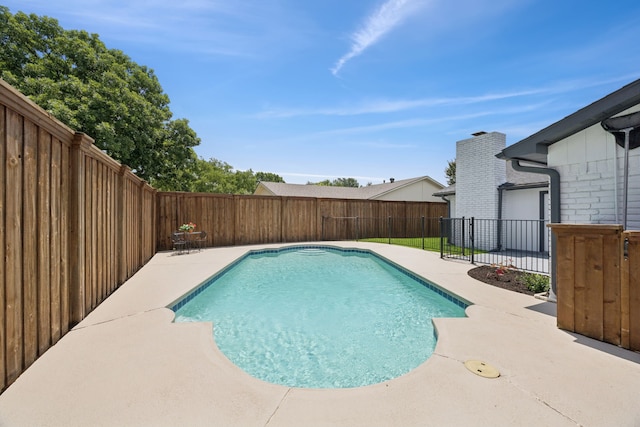 1629 Mesquite Trl, Plano, TX 75023 - view of swimming pool featuring a patio and a fenced backyard