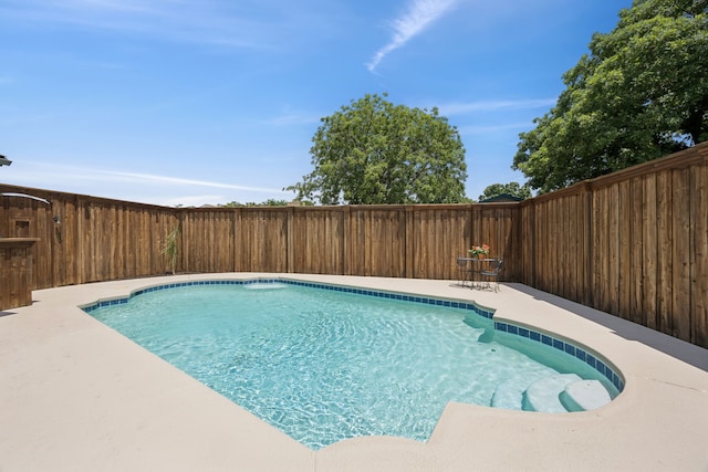 1629 Mesquite Trl, Plano, TX 75023 - view of pool featuring a fenced backyard and a patio area