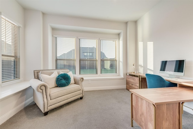 1302 Middleton Dr, Rockwall, TX 75087 - office area featuring light colored carpet and baseboards