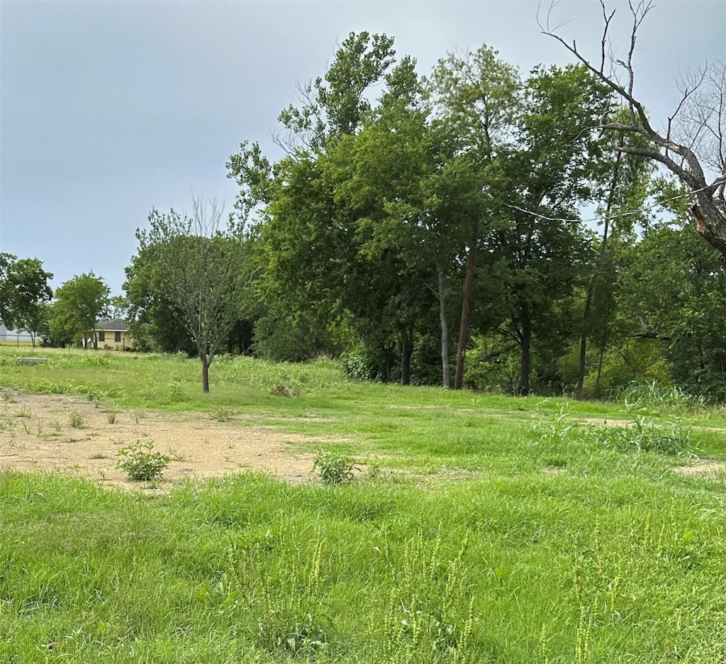 8704 Griffin Ln, Crandall, TX 75114 - view of local wilderness
