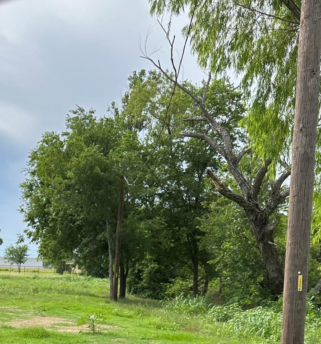 8704 Griffin Ln, Crandall, TX 75114 - view of local wilderness