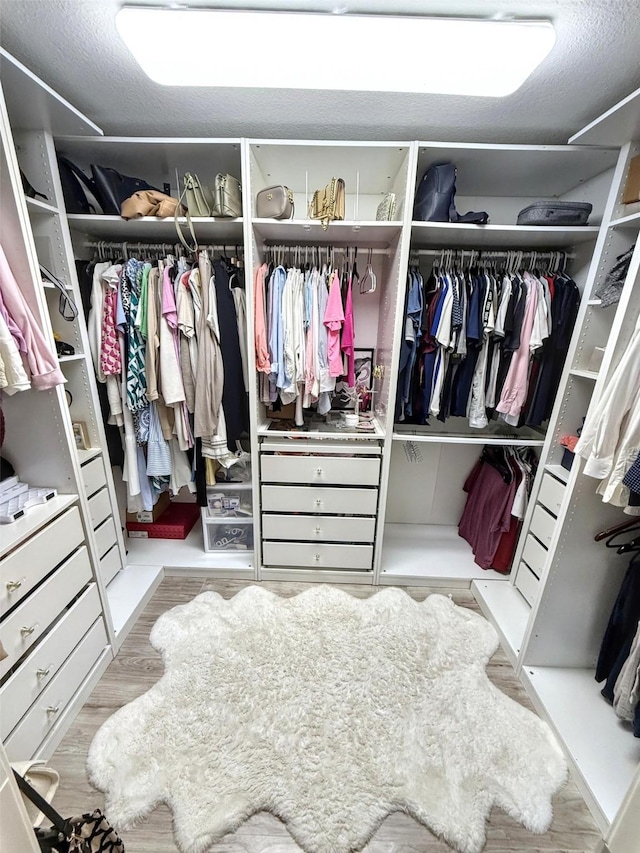 3108 Landershire Ln, Plano, TX 75023 - walk in closet with wood finished floors