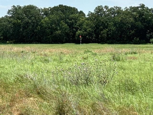 27142 Whispering Meadow Dr, Whitney, TX 76692