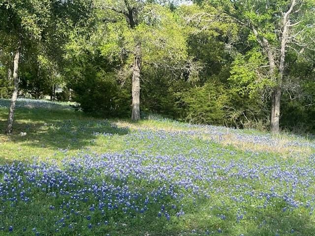 27142 Whispering Meadow Dr, Whitney, TX 76692