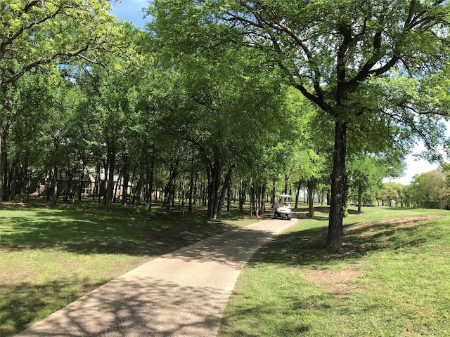27142 Whispering Meadow Dr, Whitney, TX 76692