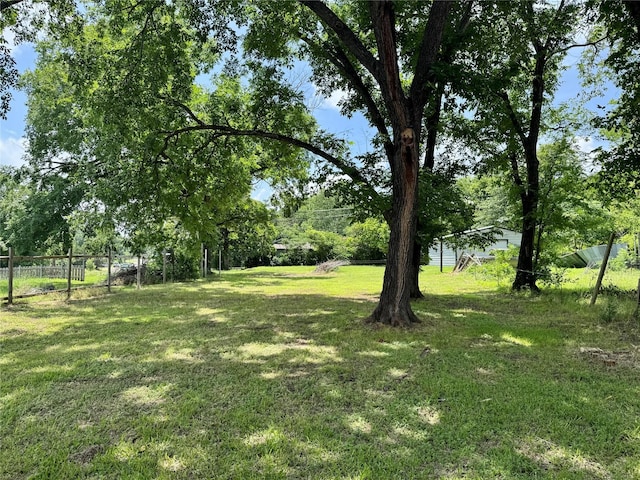 305 N Washington St, Grand Saline, TX 75140 - view of yard