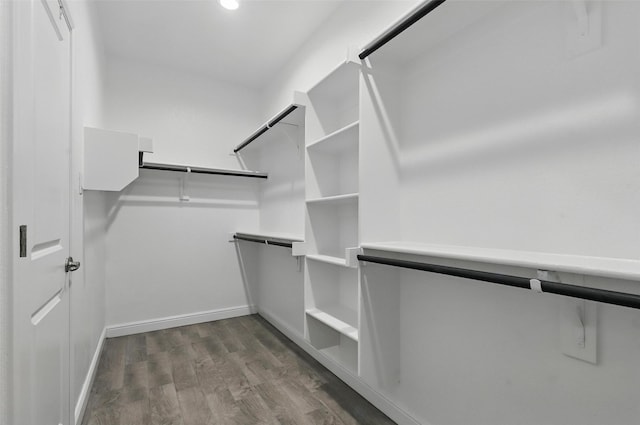 1708 Lapetus, Haslet, TX 76052 - walk in closet with dark wood-style flooring