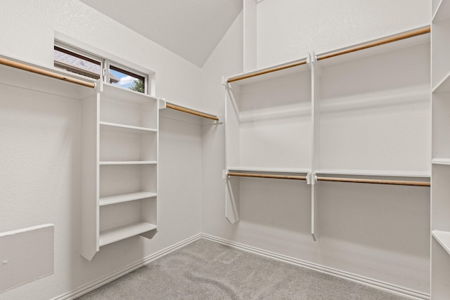 401 Shumard Oak Trl, Keller, TX 76248 - spacious closet featuring carpet and lofted ceiling