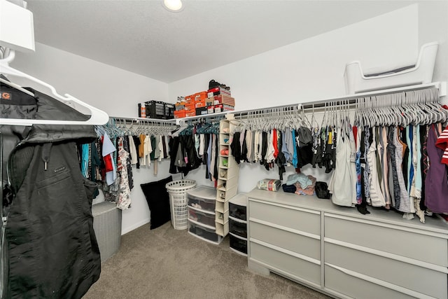 16608 Portage St, Justin, TX 76247 - spacious closet with carpet floors
