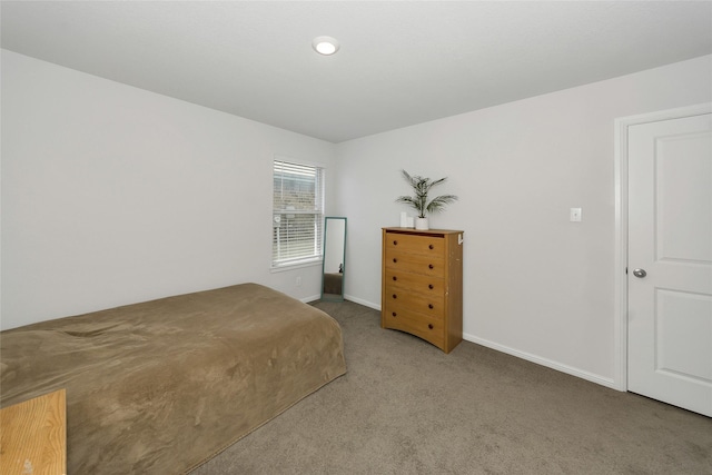 16608 Portage St, Justin, TX 76247 - bedroom featuring carpet flooring and baseboards