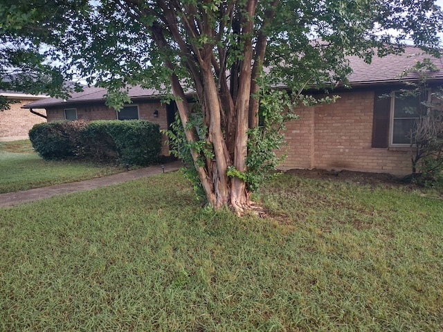 865 E Laureland Rd, Dallas, TX 75241 - view of green lawn